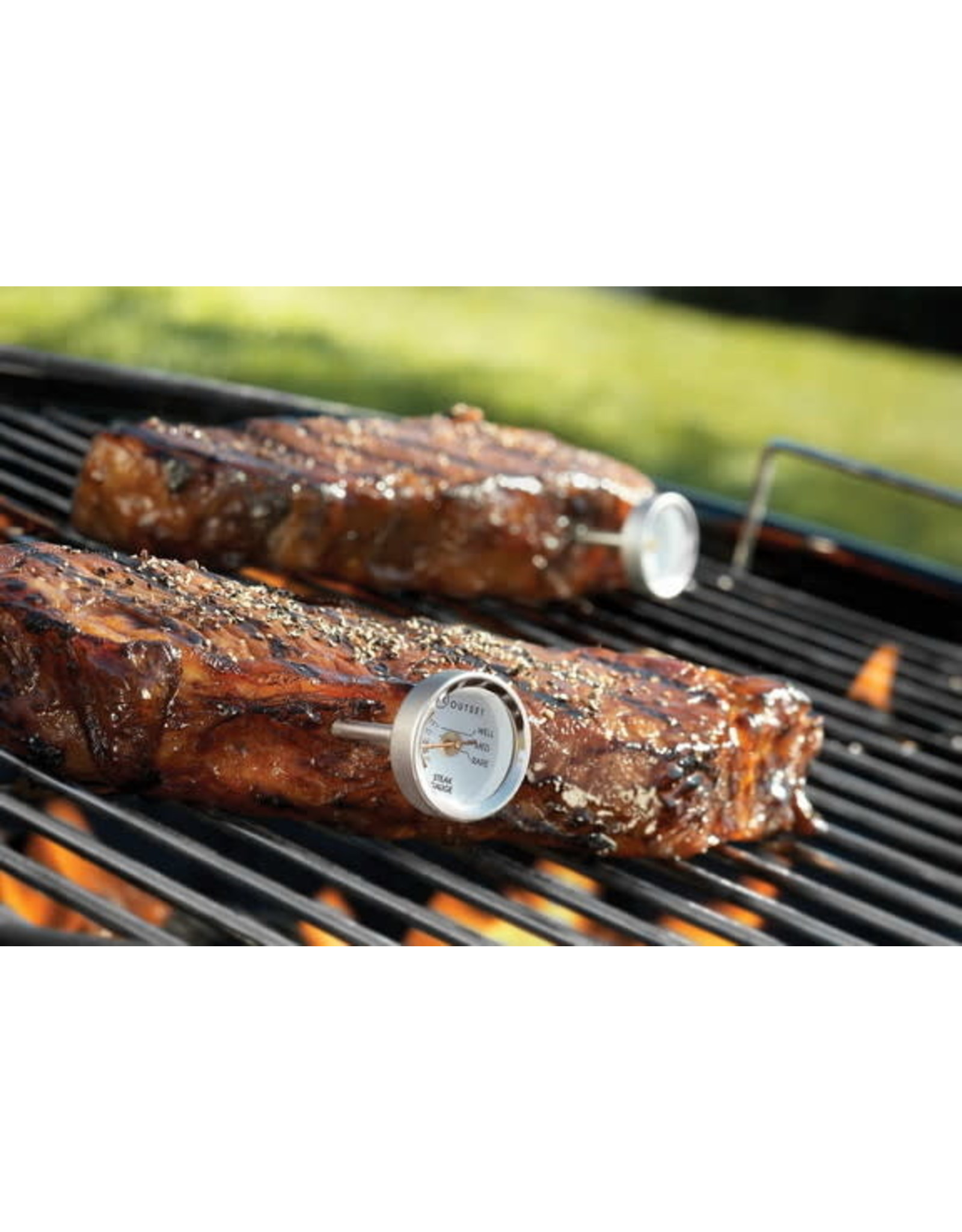 Steak Thermometer