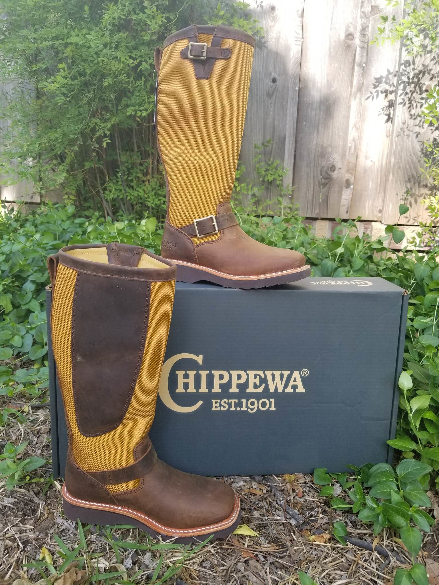 Chippewa Cottonwood Snake Boot Womens SN6914