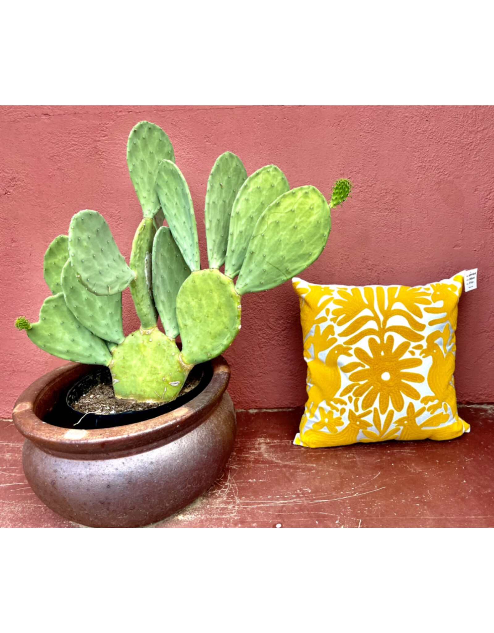 Otomi Hand Embroidered Pillow 18x18: Yellow