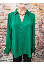 Haisley Button Down Blouse