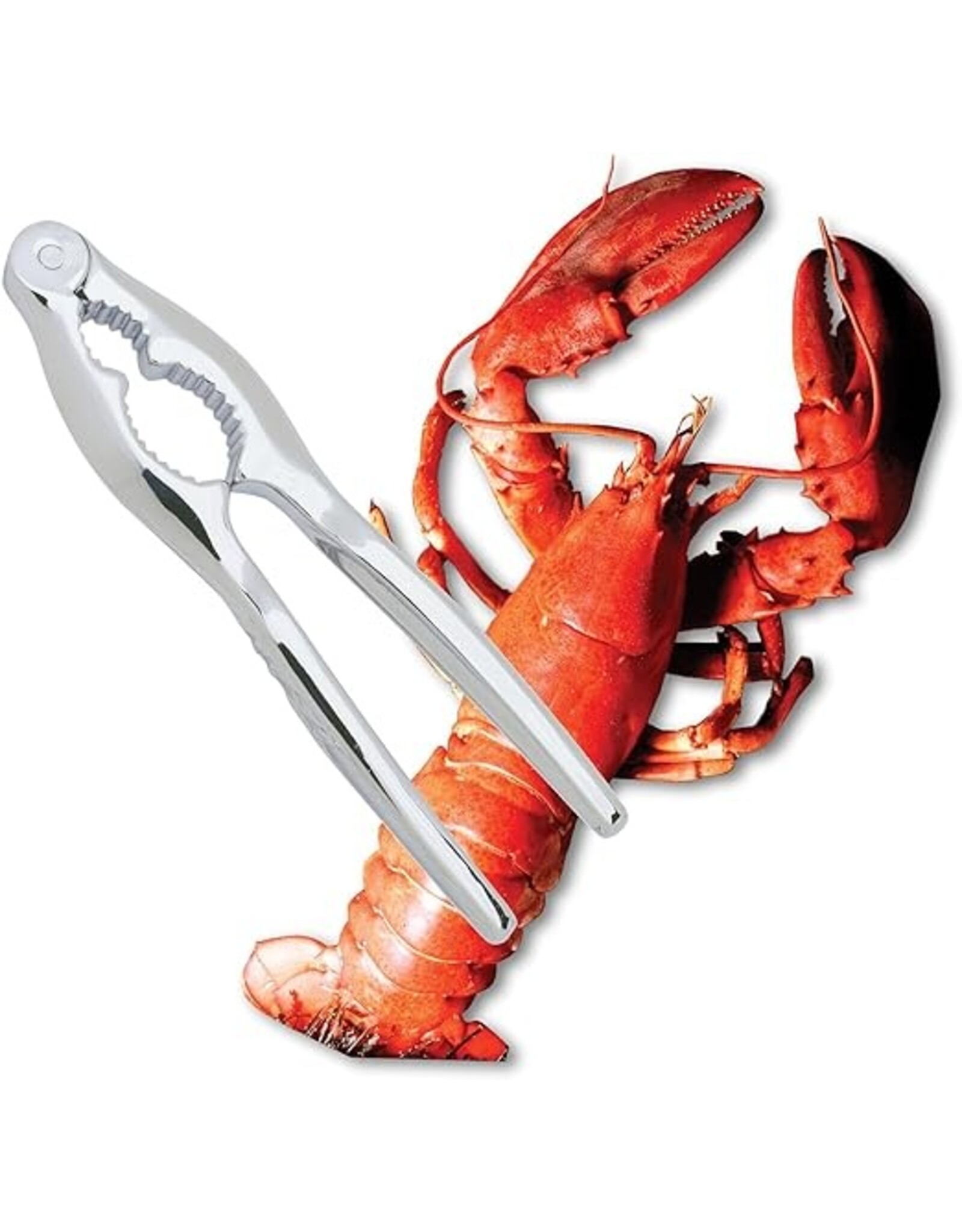 Cracker for Lobster, Crab Nuts