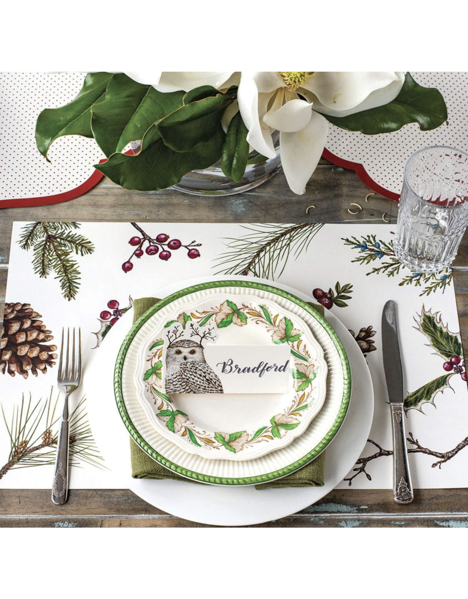 Hester & Cook Winter Collage Placemats