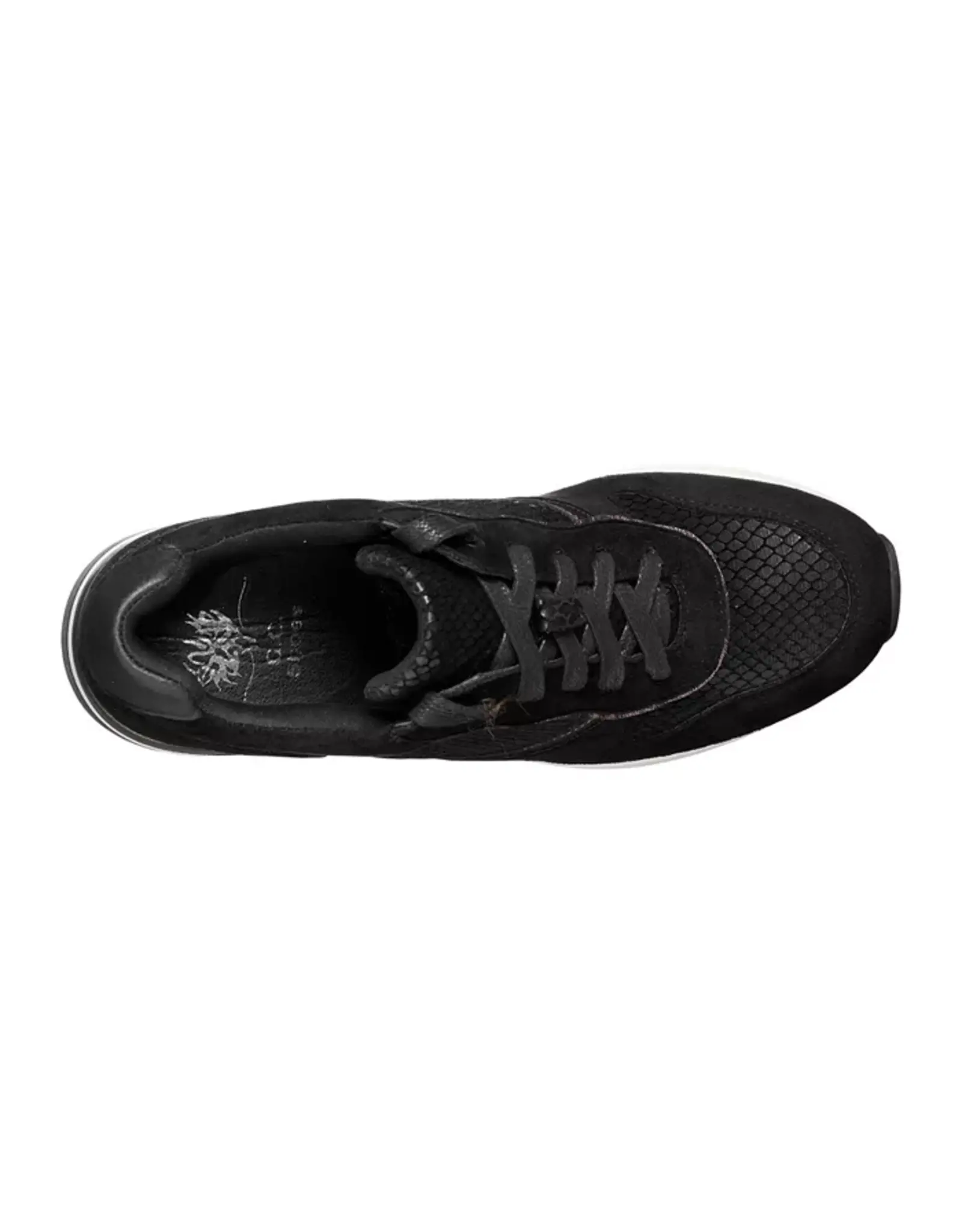 Canali Reptile Wedge Sneaker Lace Up