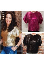 Sequin Chiffon Top