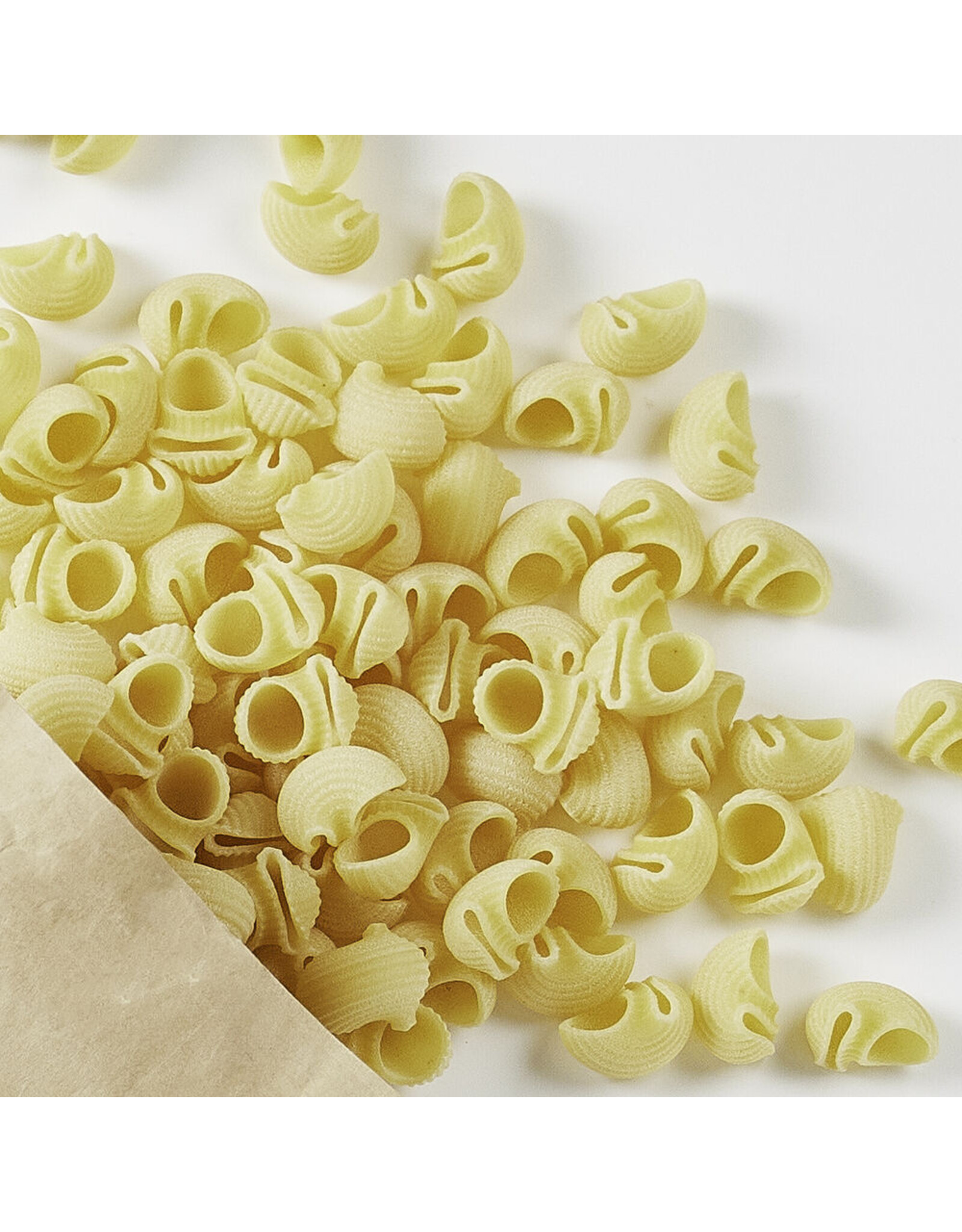 Stonewall Kitchen Conchiglie 1 lb