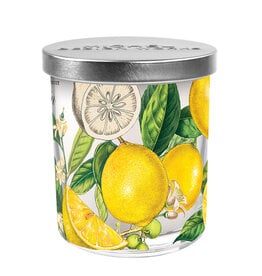 Michel Design Works Lemon Basil Candle Jar with Lid