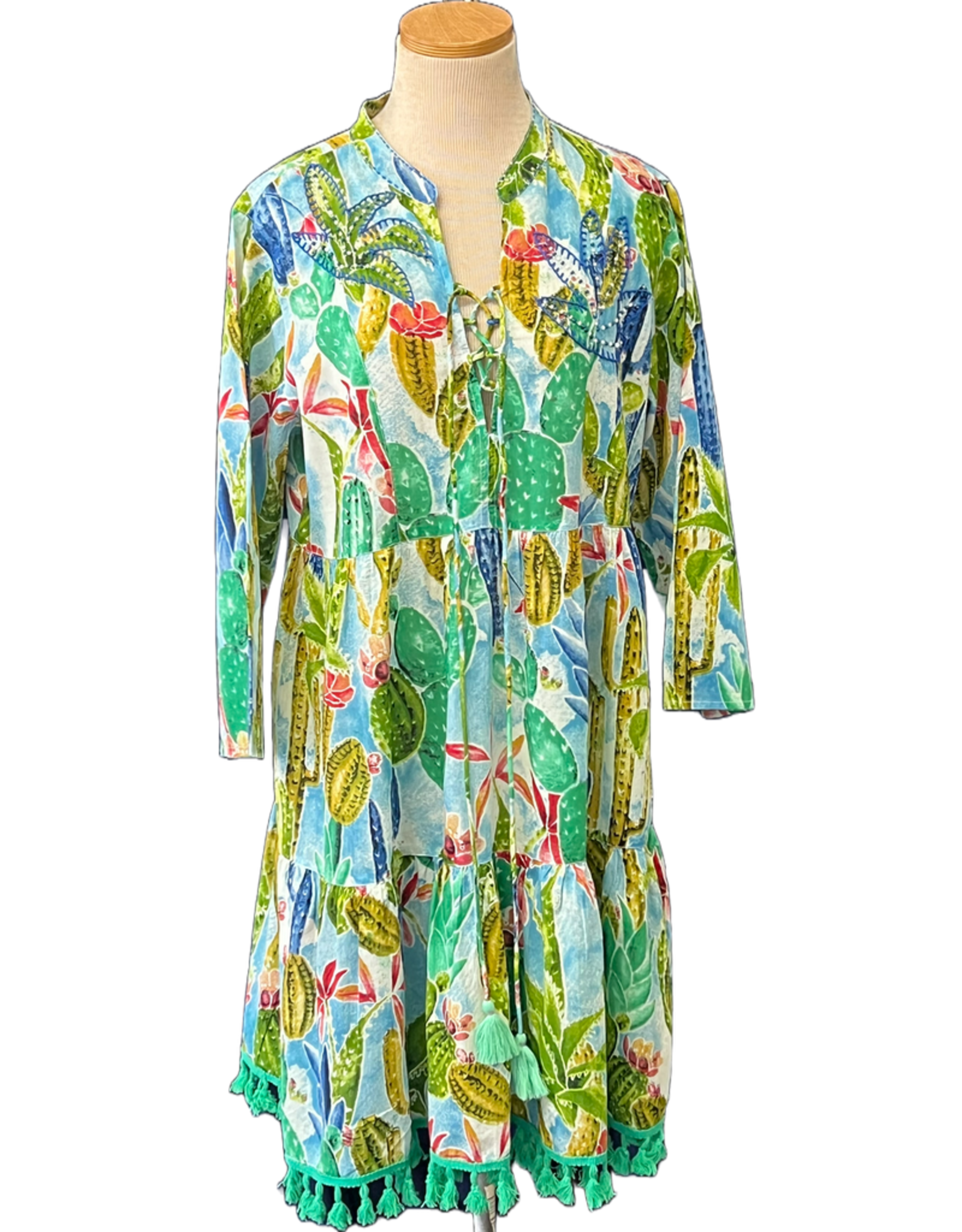 Succulent Beaded & Embroidered Tassel Dress