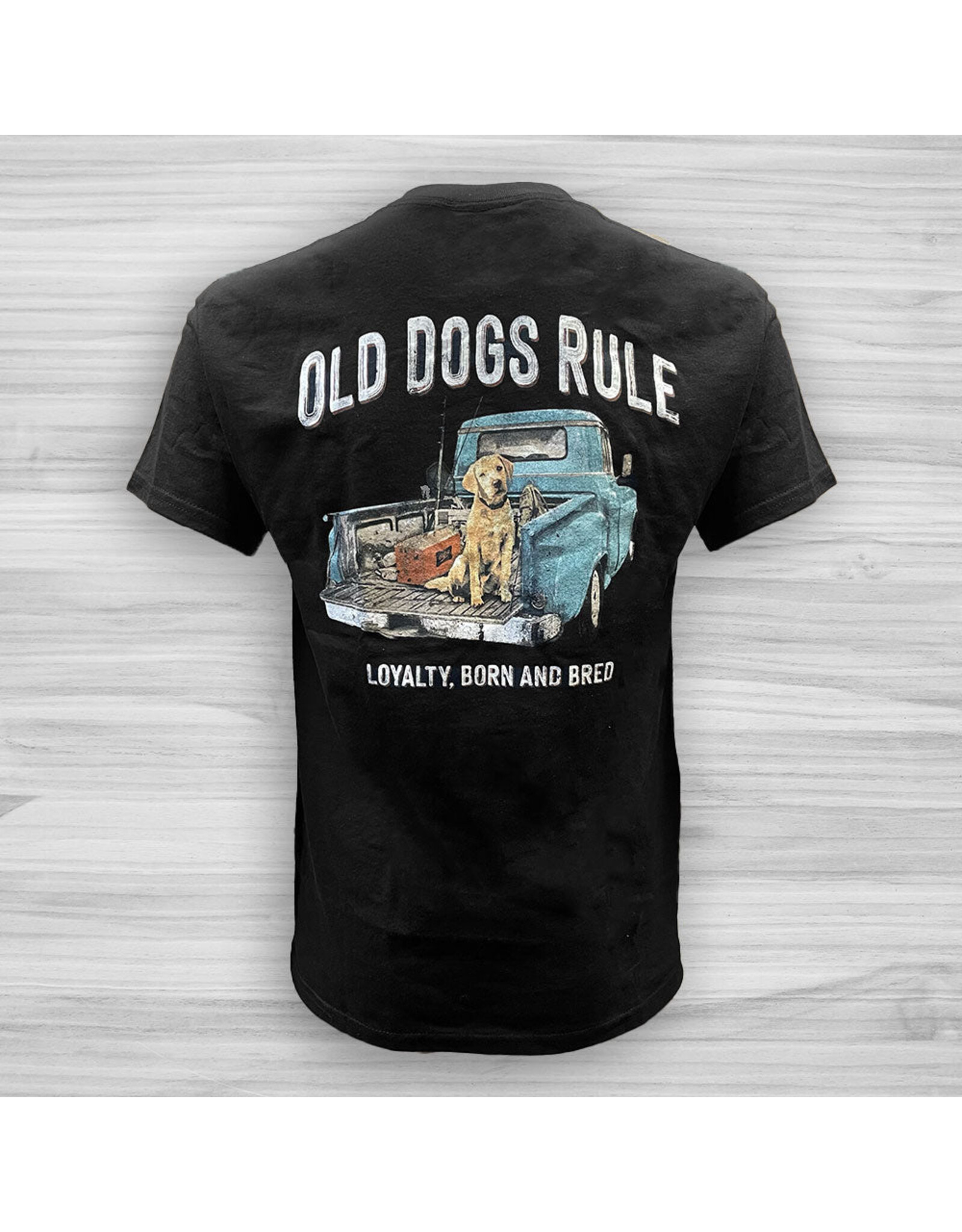 Old Guys Rule Old Dogs Rule T-Shirt