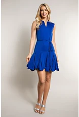 Baylee Godet Mini Dress