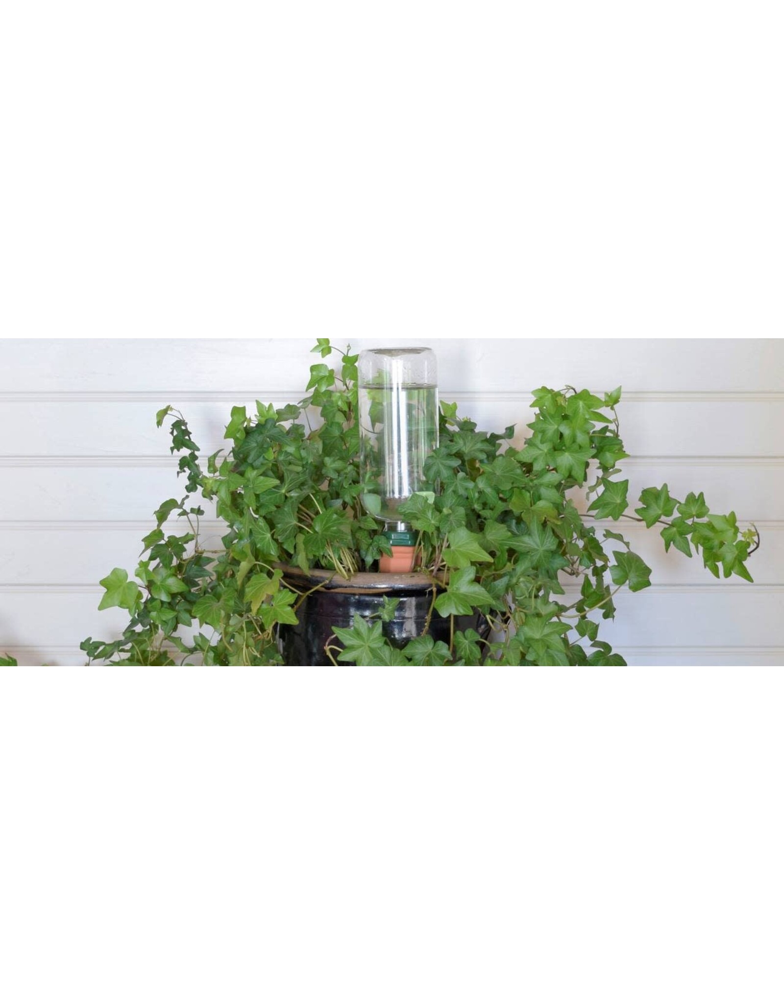 Plant Nanny Plastic Bottle Watering Stakes