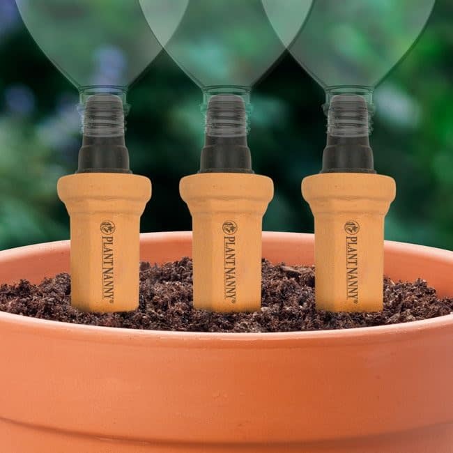 Plant Nanny Easy Fill 3 Pack - Blanton-Caldwell