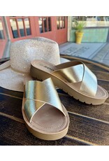 Honeybee Criss Cross Gold Sandal