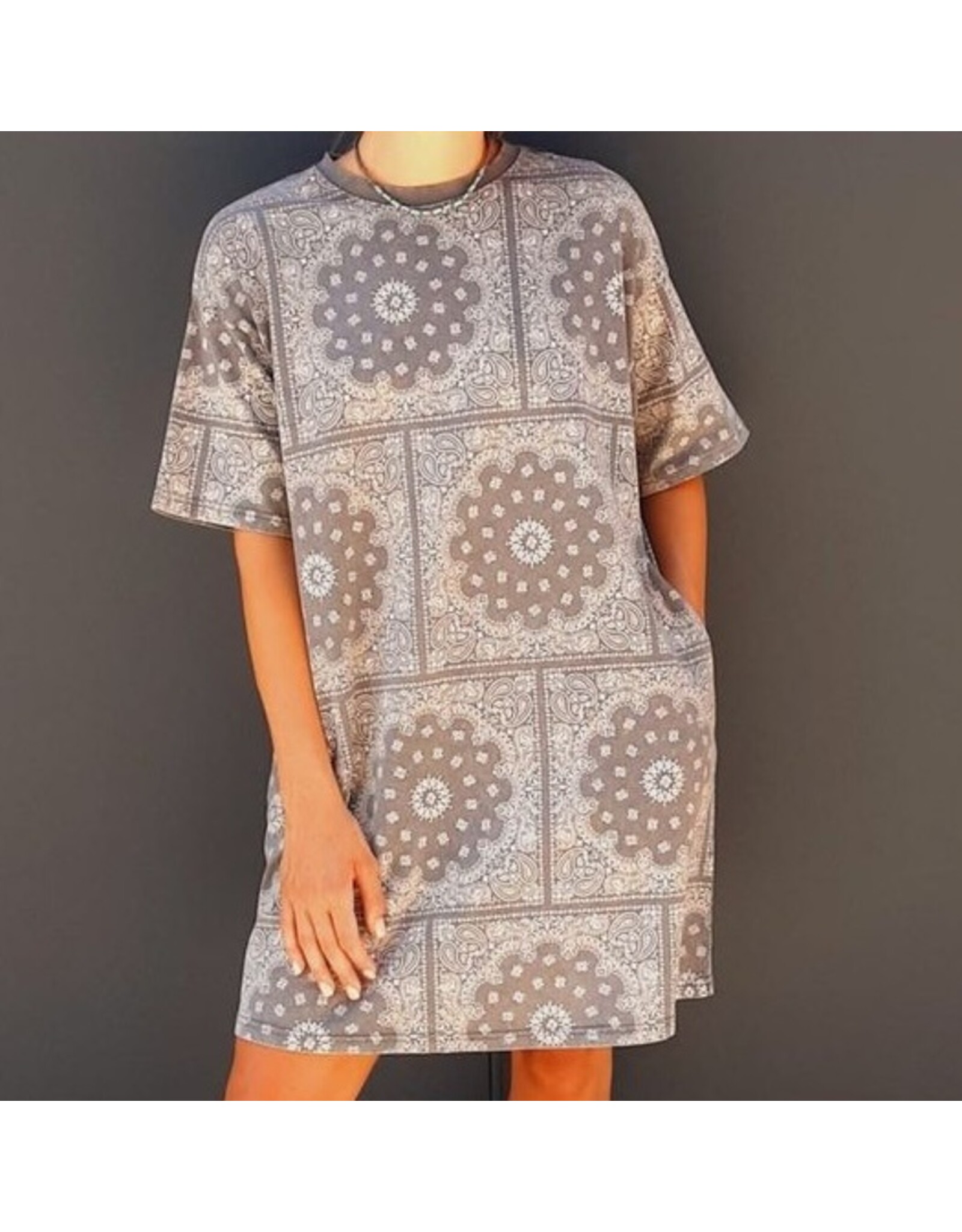 Elk Grove Bandana Print Dress