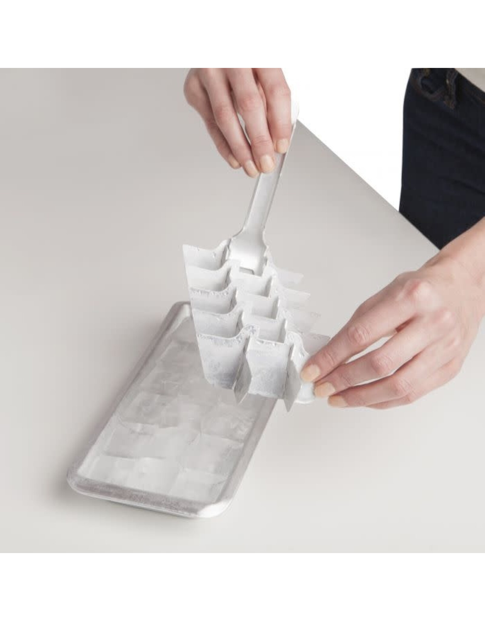 Vintage Ice Tray