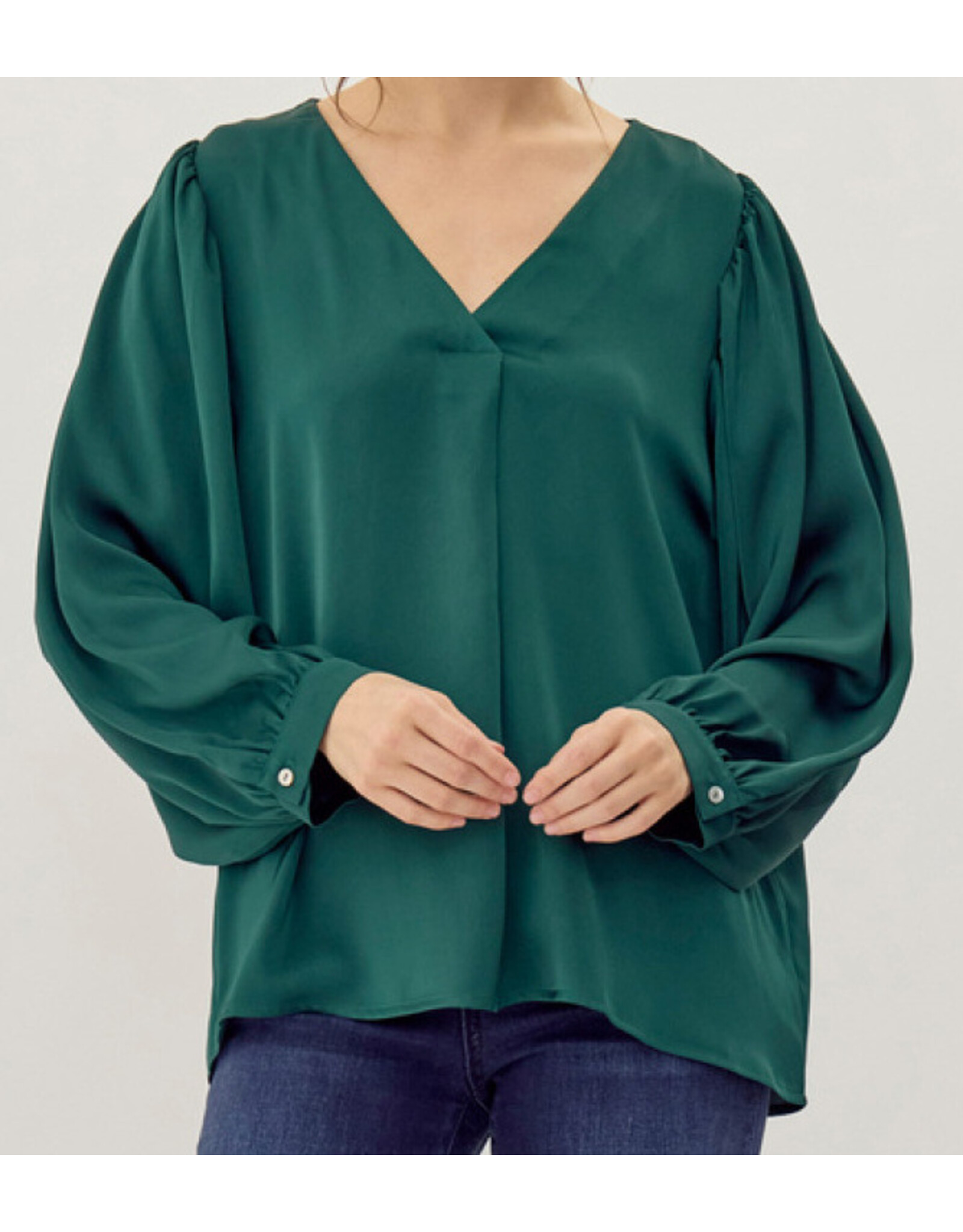 Francine V-Neck Silky Blouse