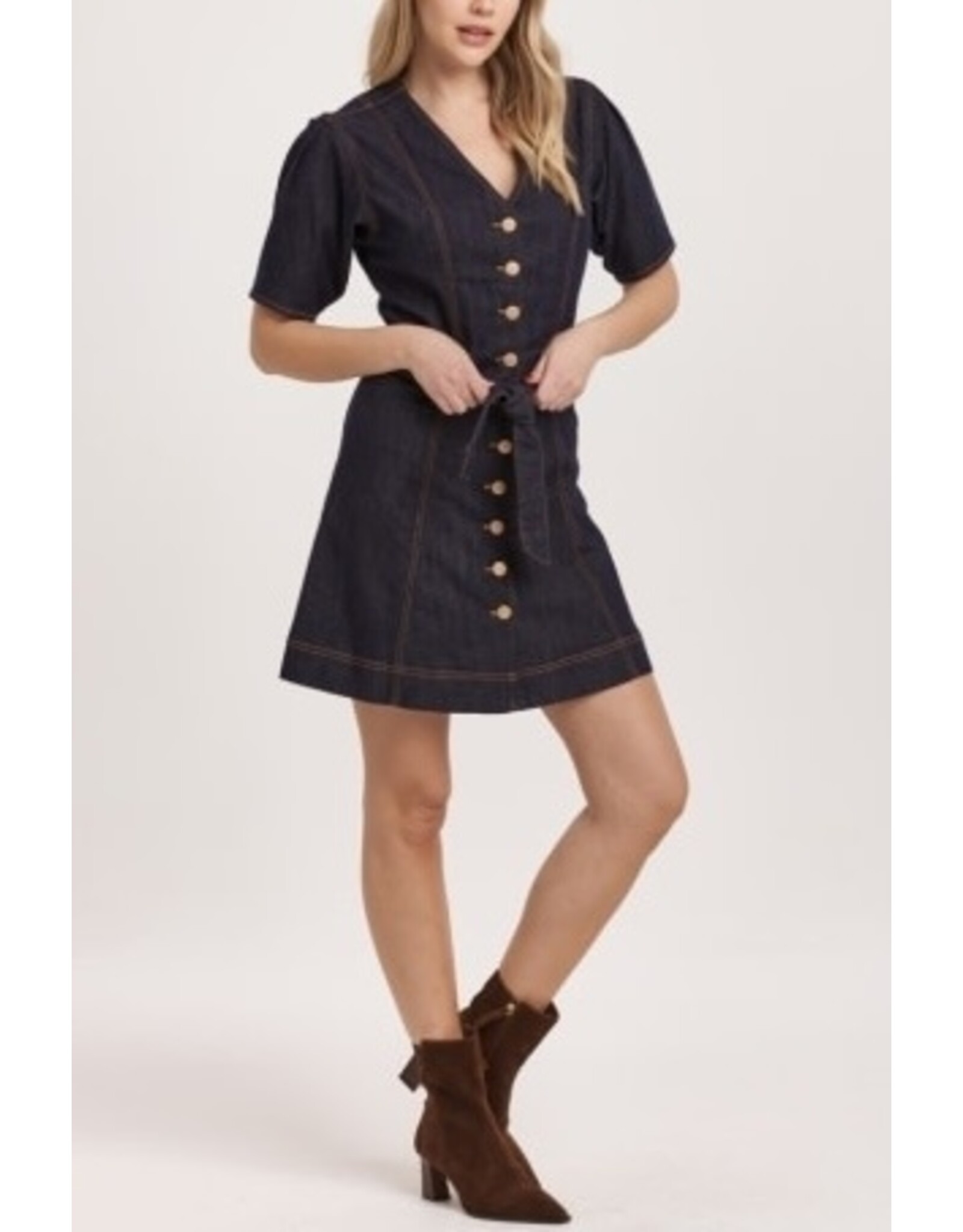 Dear John Denim Dear John Chloe Dress