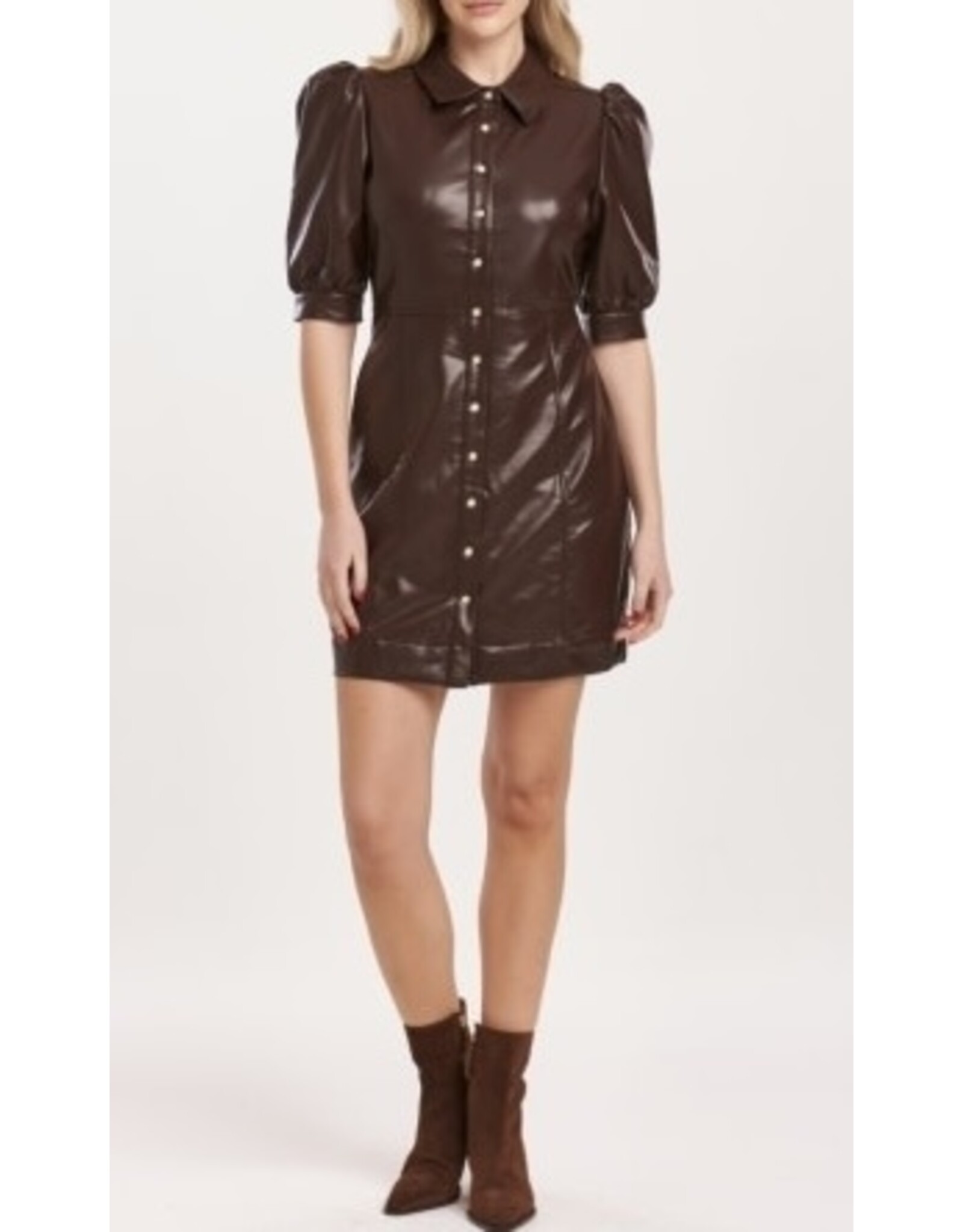 Dear John Denim Dear John Ophelia Button Down Dress