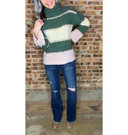 Dani Color Blocked Turtle Neck Sweater