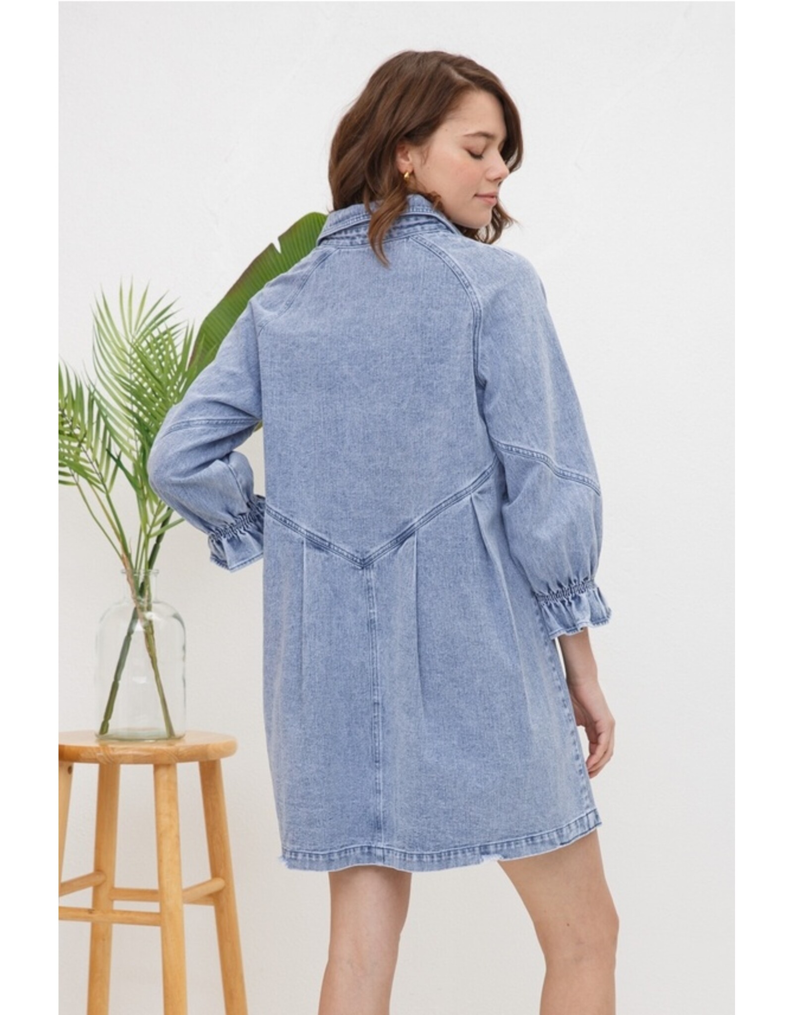 Gianna Washed Denim Shirt Dress