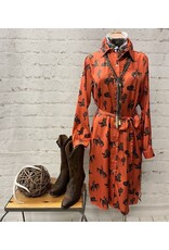 Gina Satin Western Print Shirt Dress