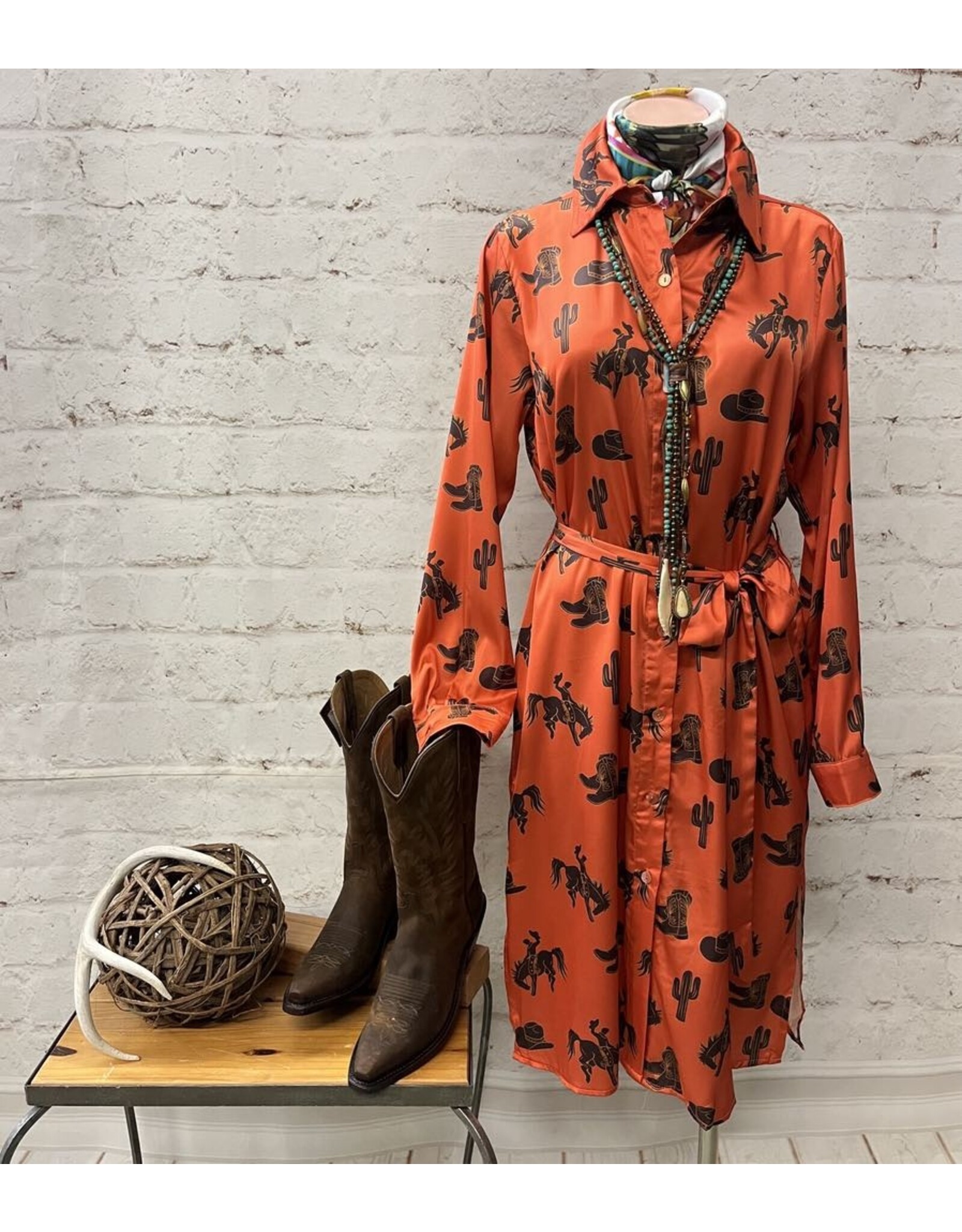 Gina Satin Western Print Shirt Dress