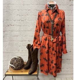 Gina Satin Western Print Shirt Dress