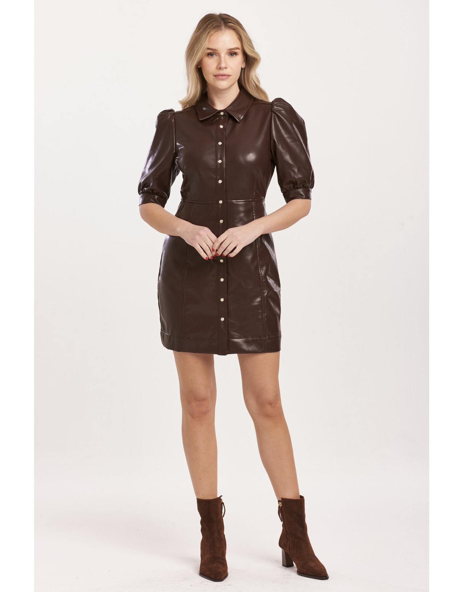 Dear John Denim Dear John Ophelia Button Down Dress