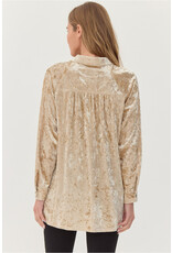 Katherine Velvet High/Low Hem Shirt