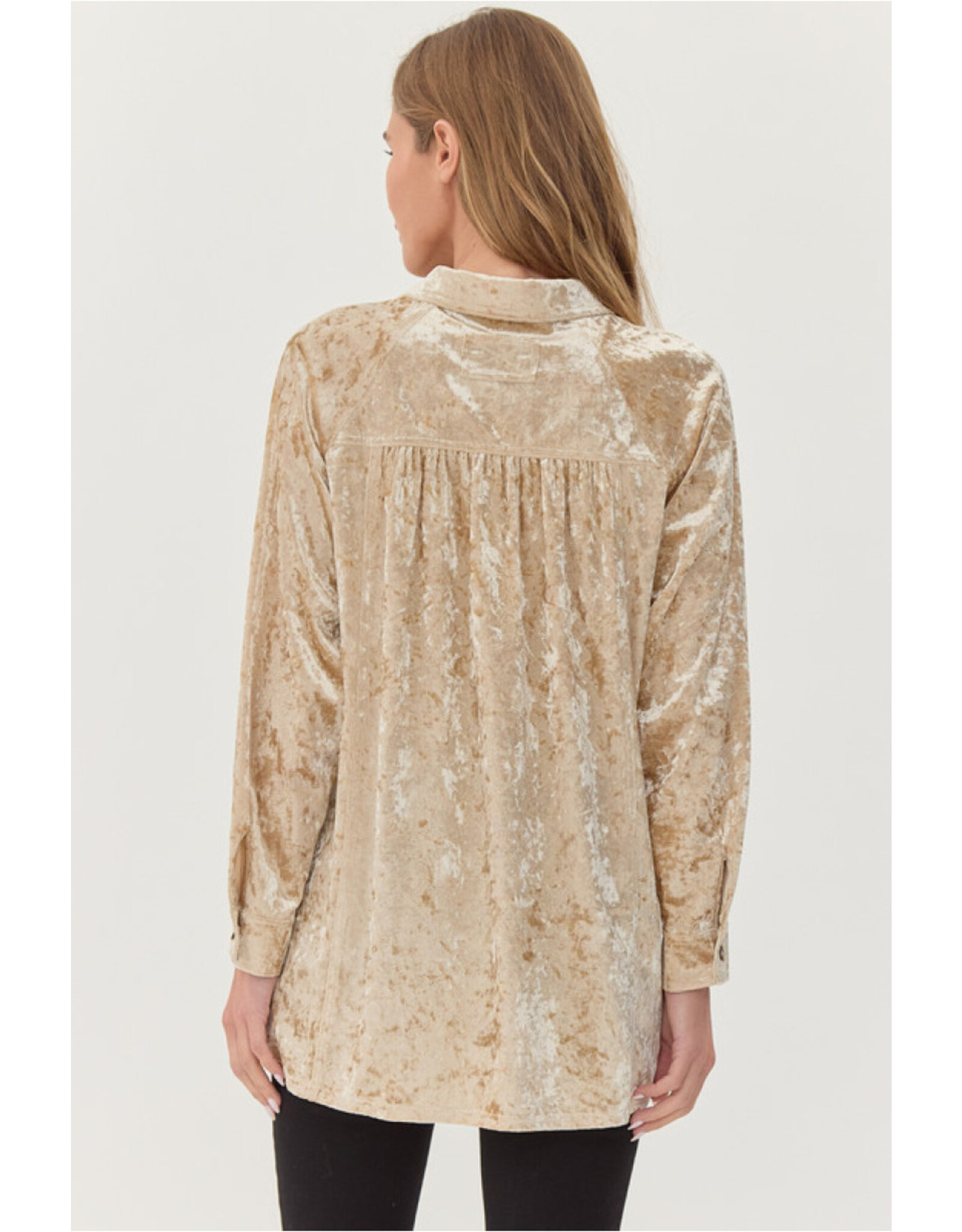 Katherine Velvet High/Low Hem Shirt