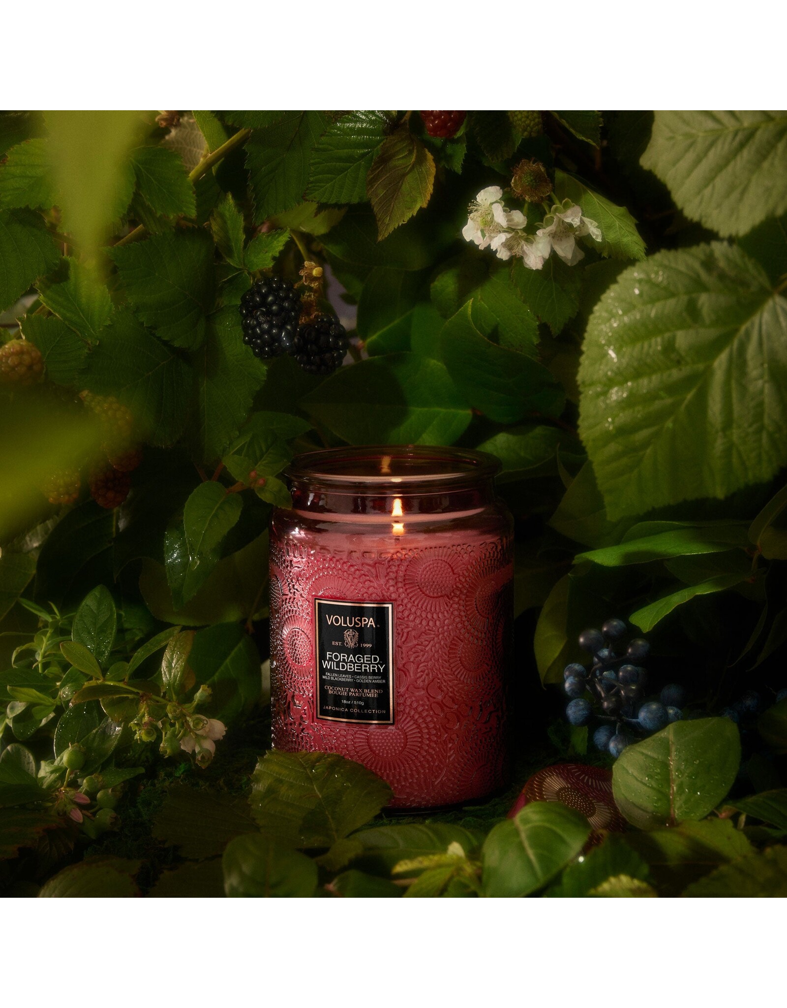 Voluspa Candle 18oz Large Jar Foraged Wildberry