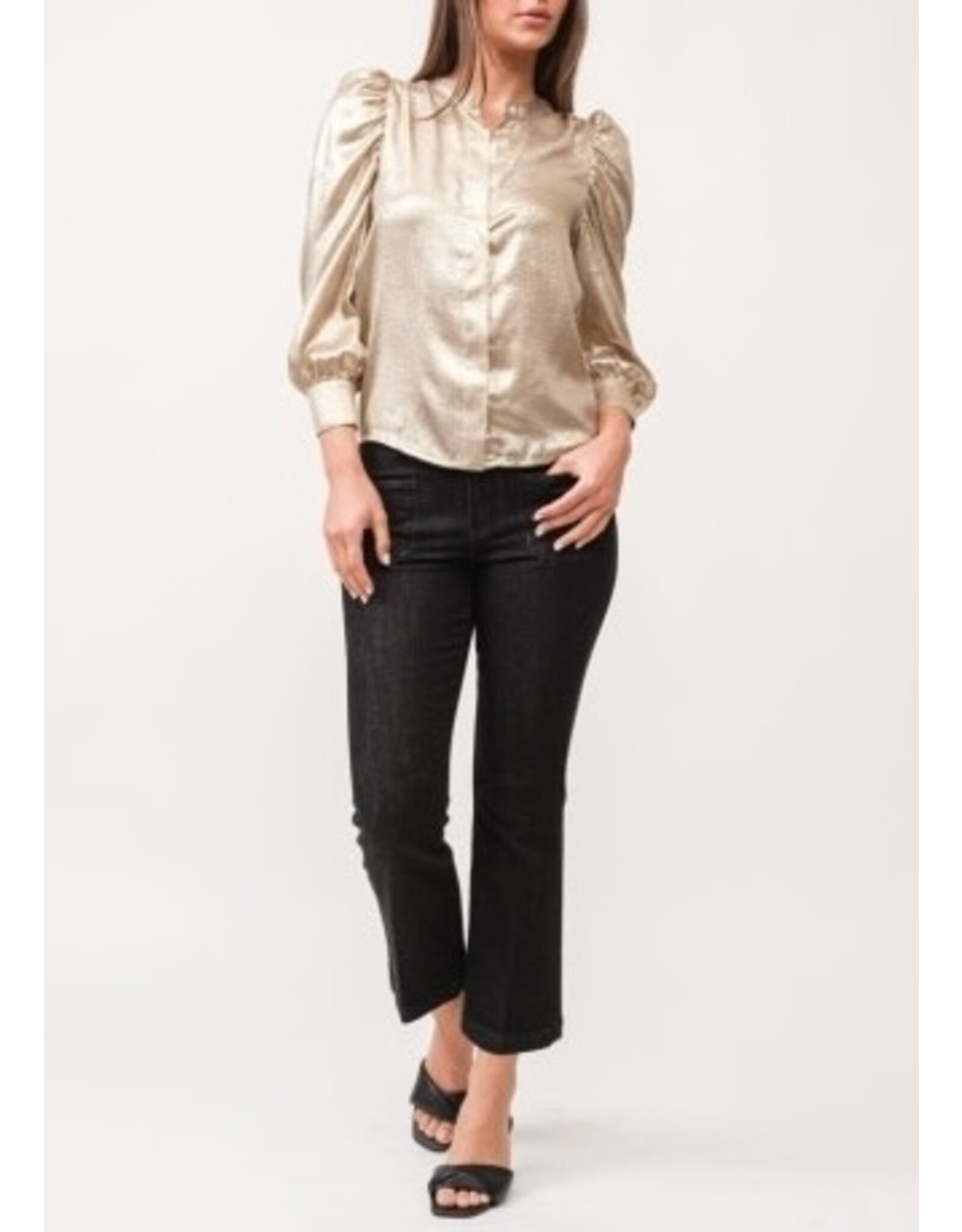 Dear John Denim Dear John Rowan Hidden Placket 3/4 Sleeve Classic Fit Shirt