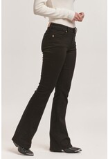 Dear John Denim Dear John Jaxtyn Bootcut Jeans - Black Olive