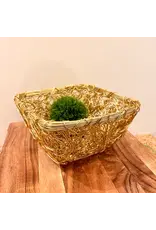 Gilded Twist Square Basket
