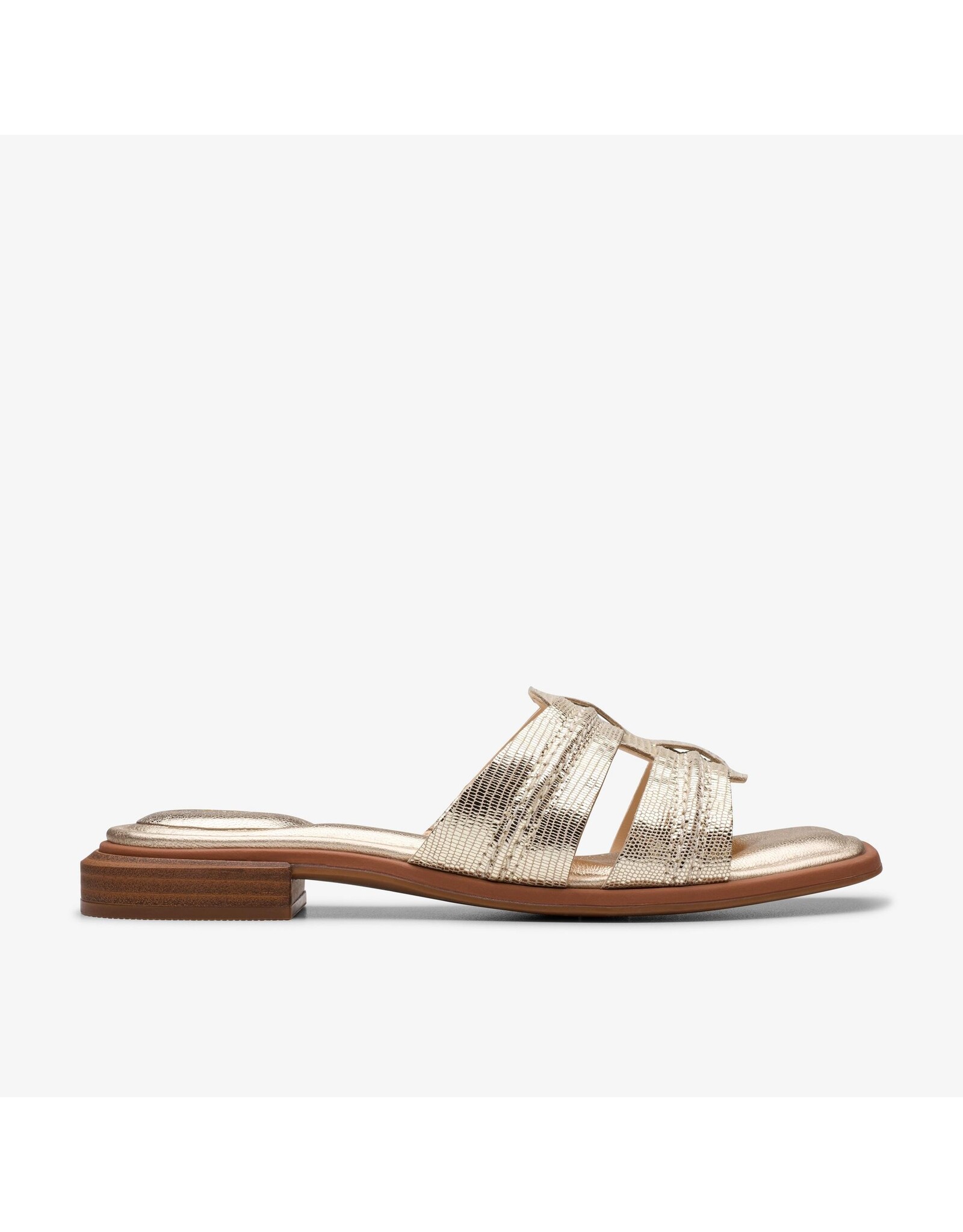 Clarks Clarks Ariany Mule Champagne Interest