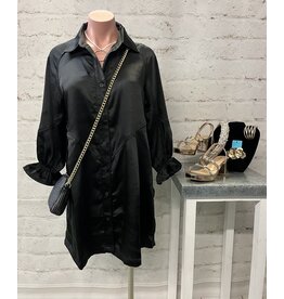 Maeve Satin Button Up Mini Dress