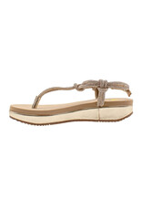 Volatile Calypso Sandal