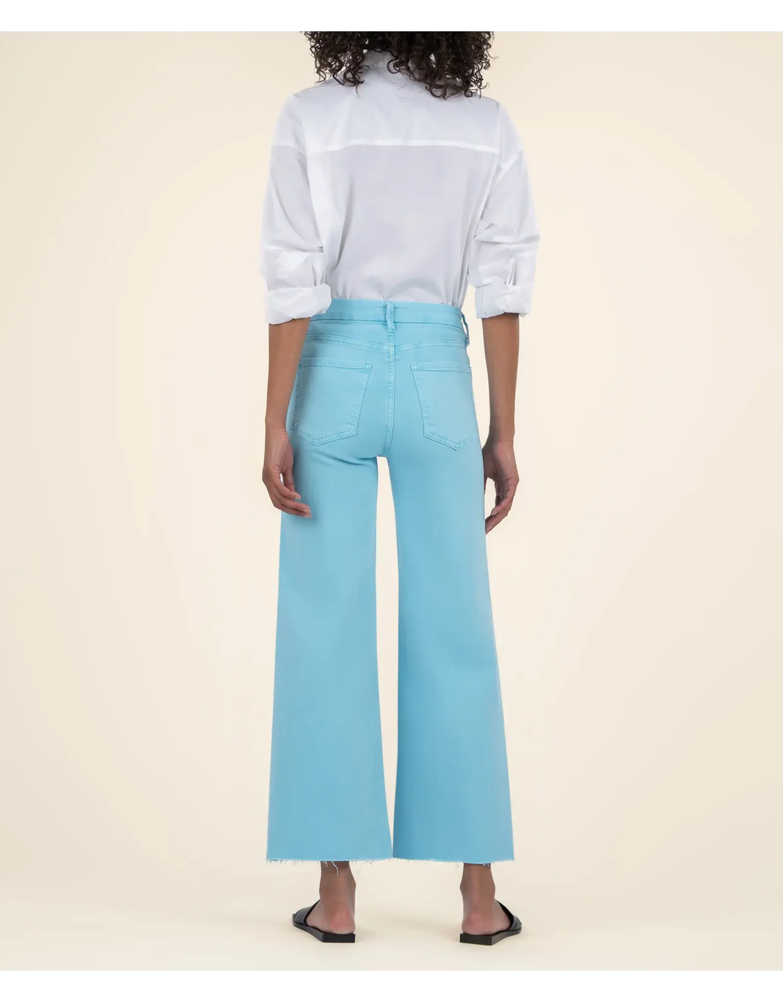 Kut from the Kloth / STS Blue KUT Meg High Rise Fab Ab Wide Leg Raw Hem