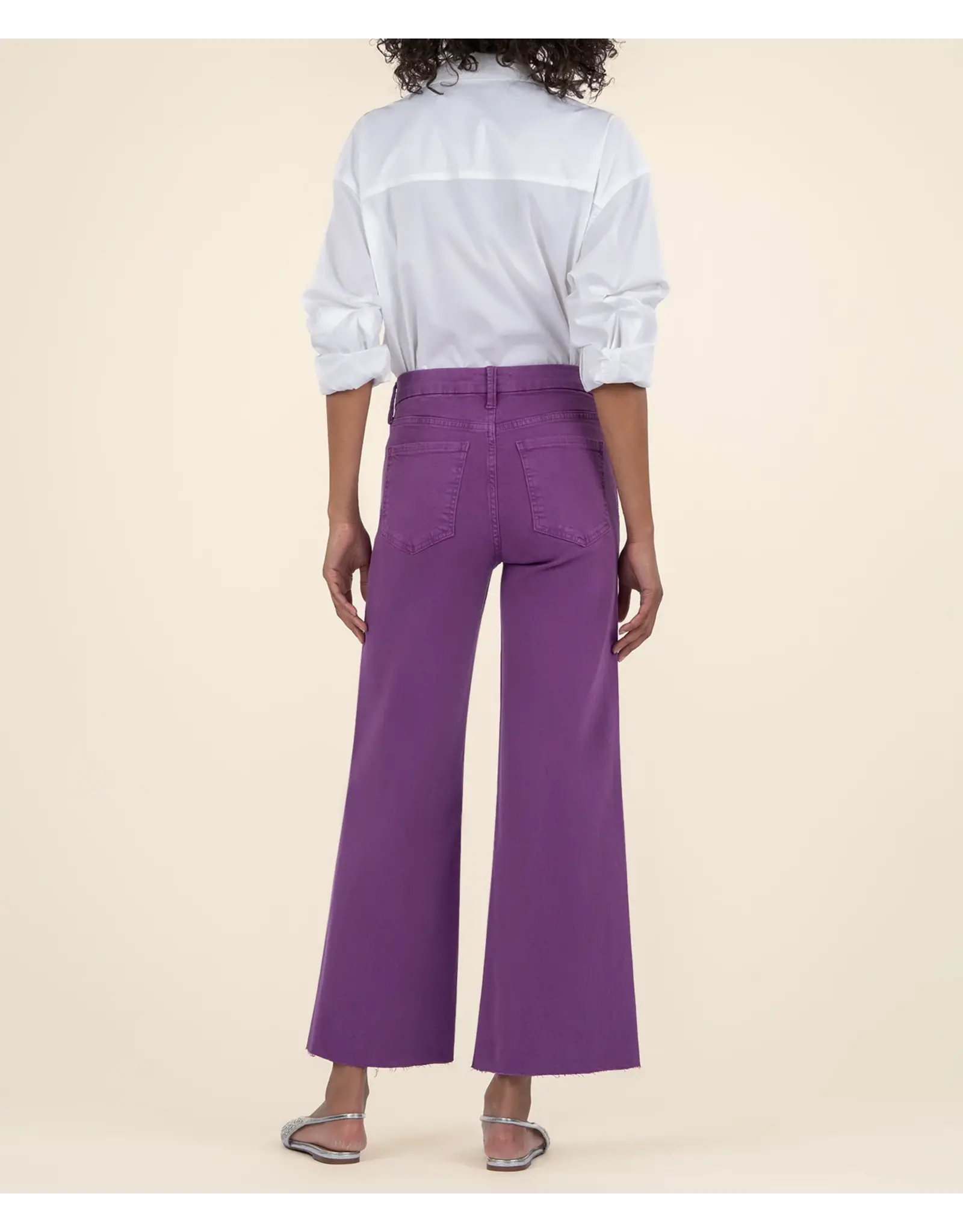 Kut from the Kloth / STS Blue KUT Meg High Rise Fab Ab Wide Leg Raw Hem