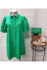 Lucia Shirt Dress