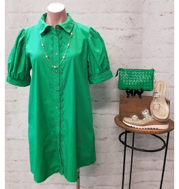 Lucia Shirt Dress