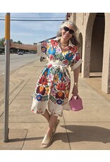Zenara Freya Printed Cotton Shirt Maxi Dress