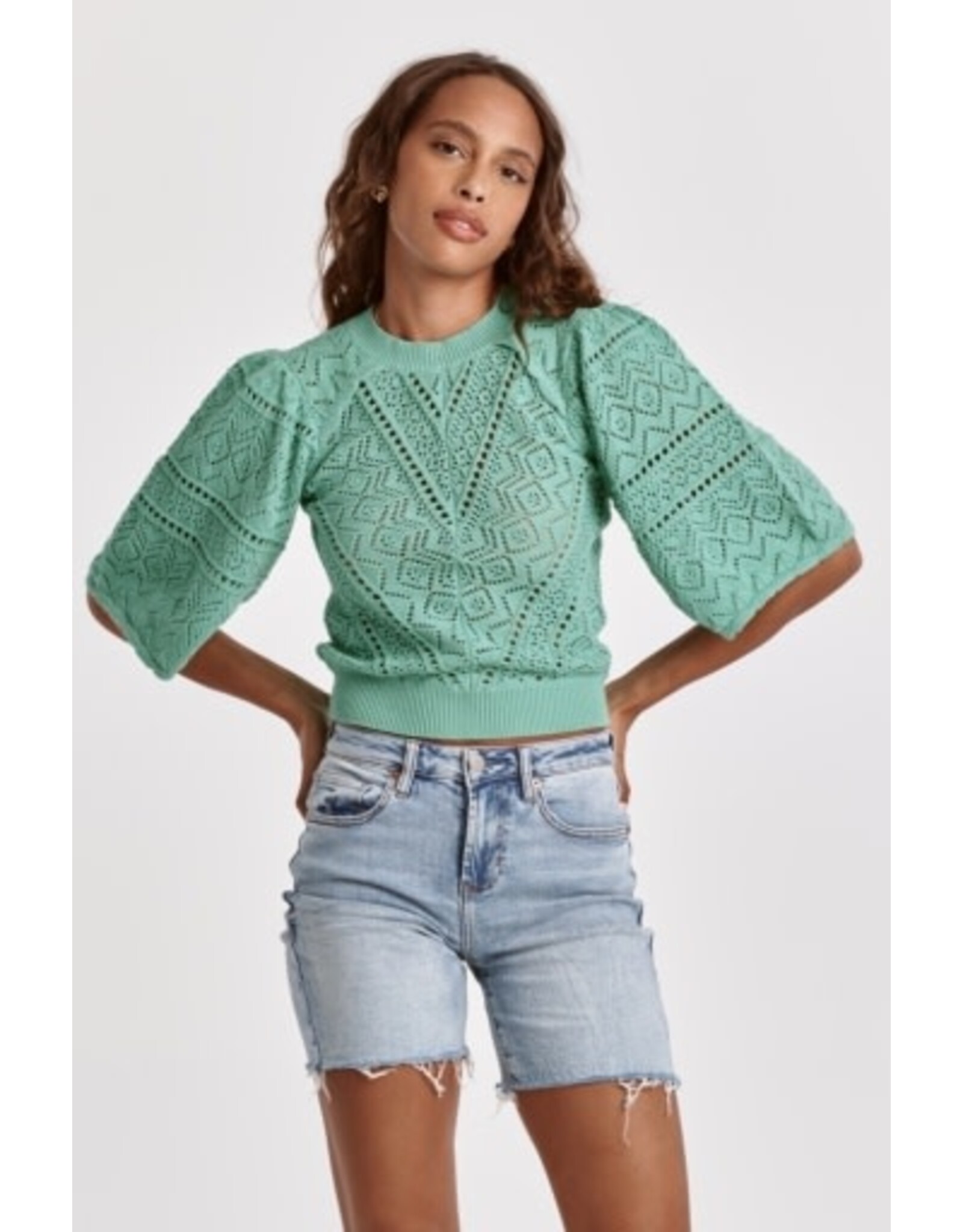 Dear John Denim Dear John Bailey Wing Sleeve Sweater