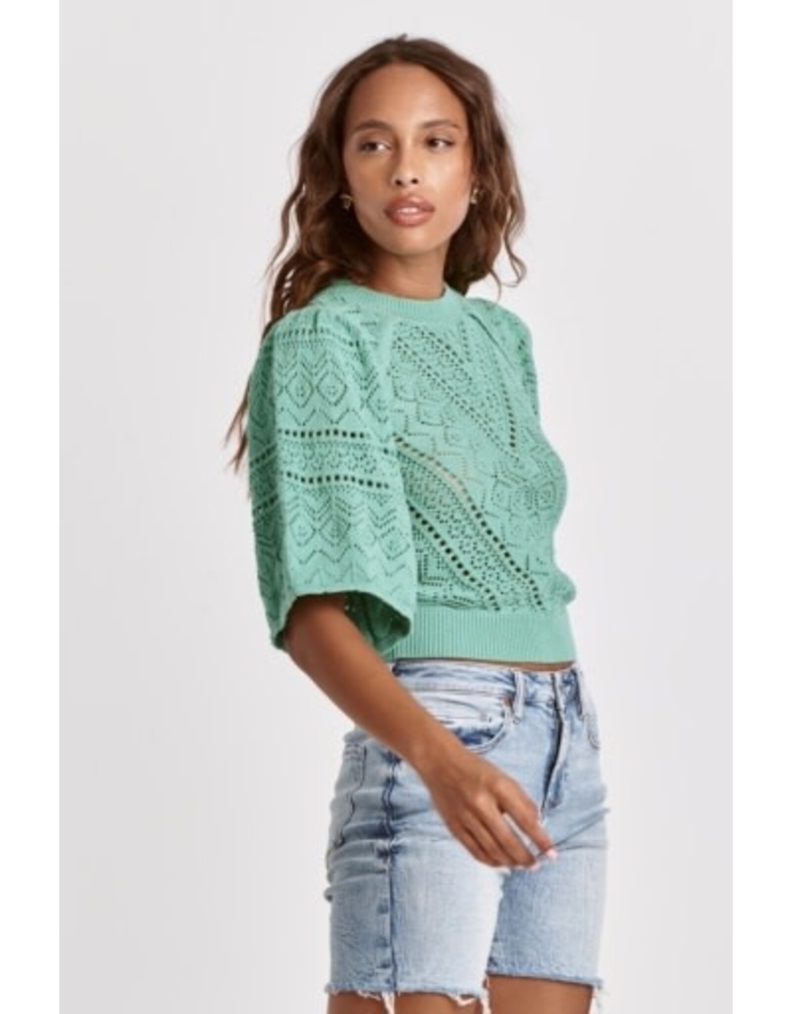Dear John Denim Dear John Bailey Wing Sleeve Sweater