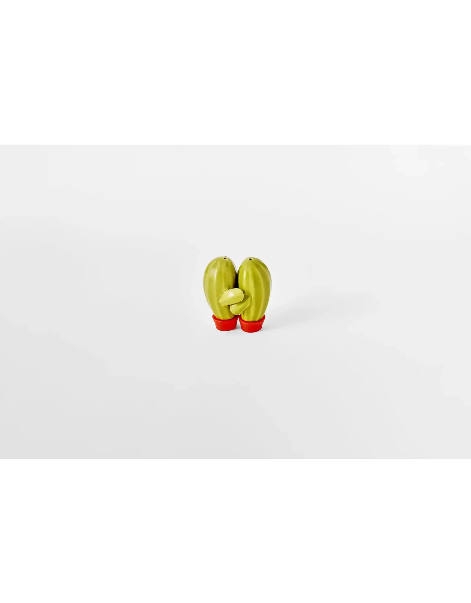 Prepara Hugging Cactus Shakers