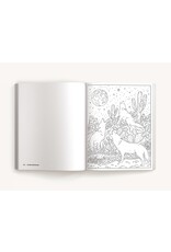 Color Me Texas Coloring Book