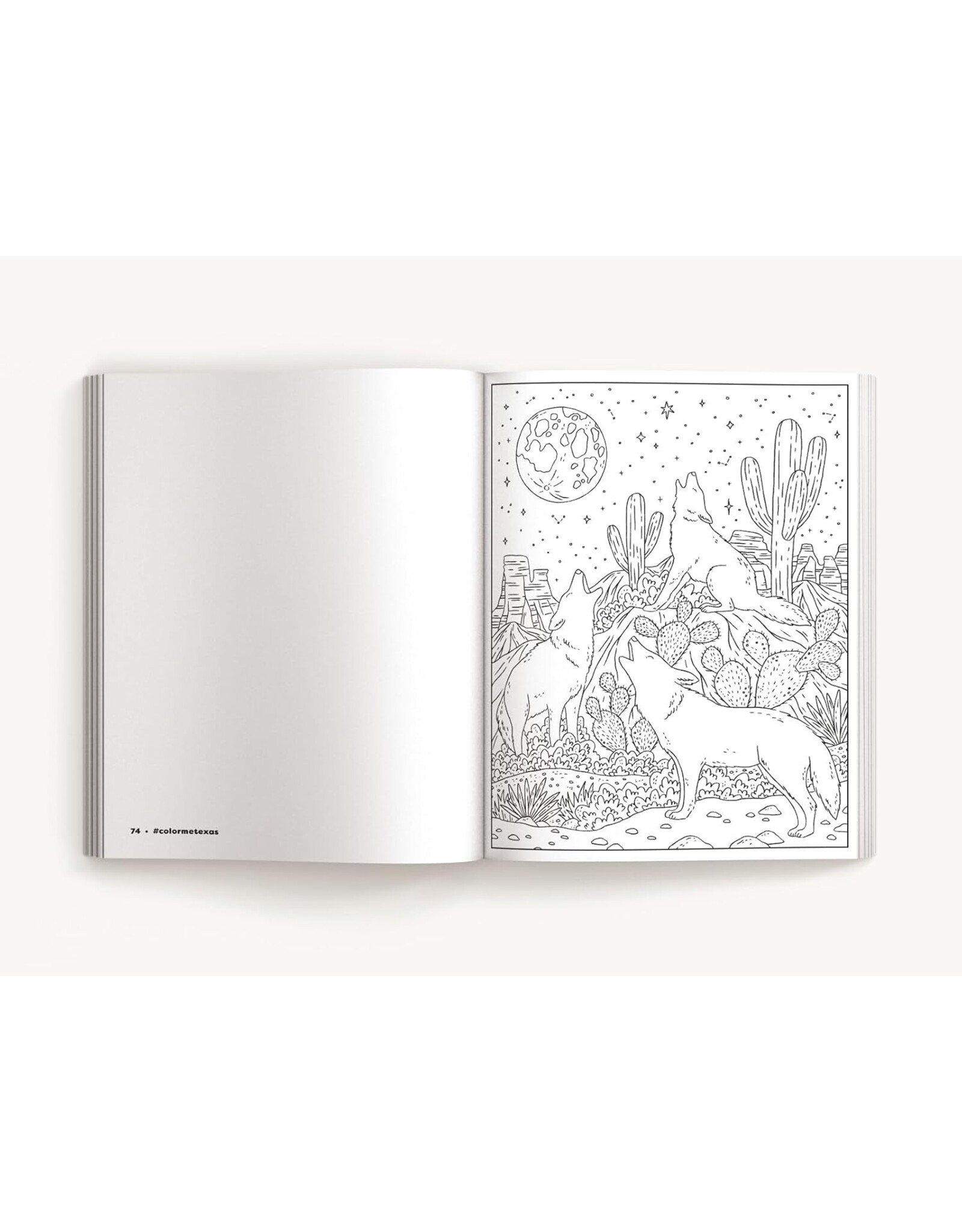 Color Me Texas Coloring Book