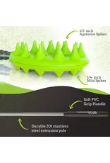 Cactus Scratcher on a Stick Green