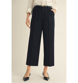 Aranza Elastic Waist Straight Black Slacks
