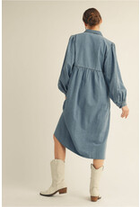 Terecita Denim Dress