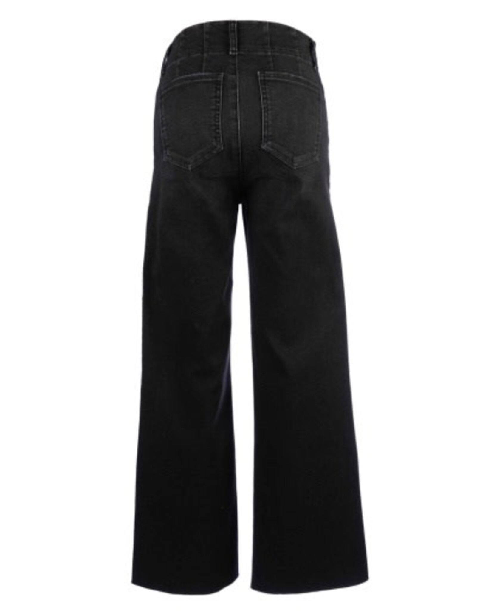 Kut from the Kloth / STS Blue KUT Meg High Rise Wide Leg Raw Hem Specialist